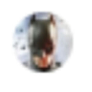 Meet your Posher, Amelia